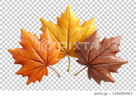 Three Autumn Maple Leaves 126890461