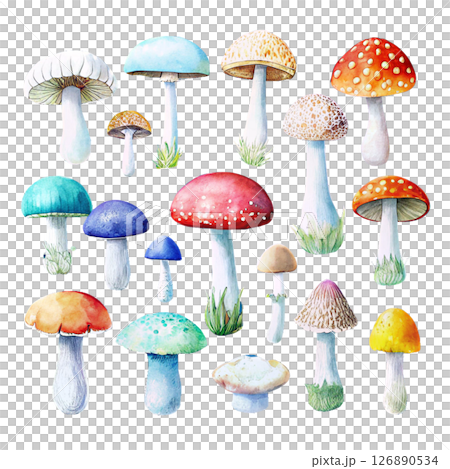 Colorful Watercolor Mushrooms 126890534