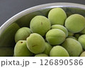 収穫した梅の実 126890586
