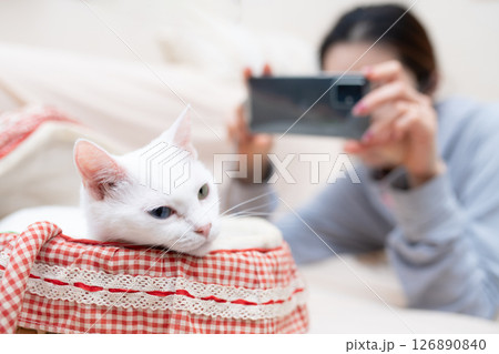 スマートフォンで猫を撮影する女性 スマートフォンで猫を撮影する女性 126890840