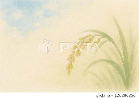 稲穂 126890856