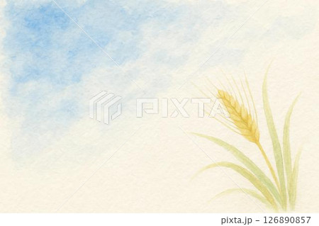 麦の穂 126890857