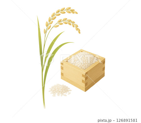 秋の収穫：稲穂と米の収穫素材イラスト 126891581