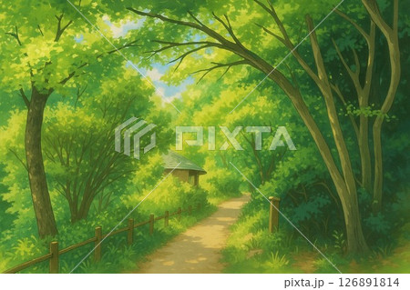 陽光差し込む森の小道 陽光差し込む森の小道 126891814