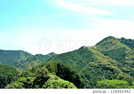 初夏の里山 初夏の里山 126892442