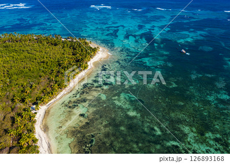 Tropical beach with coconut palm trees and azure caribbean sea. Beautiful landscape. Aerial view 126893168