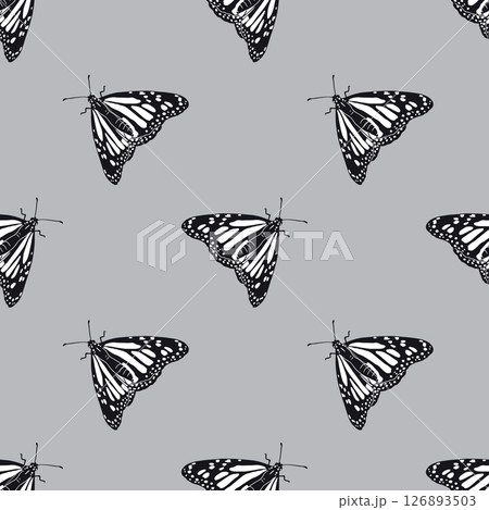 Seamless pattern with hand drawn black and white monarch butterflies on gray background Seamless pattern with hand drawn black and white monarch butterflies on gray background 126893503
