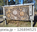 Wooden insect hotel providing natural habitat in forest setting 126894525