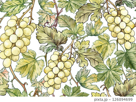 Seamless vector pattern with ripe grape 126894699