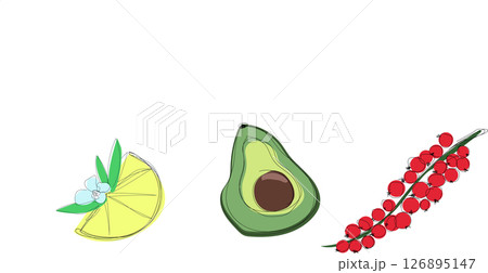Minimal vector layout showing three fruits avocado, citrus wedge, and a sprig of red berries on a white background. 126895147