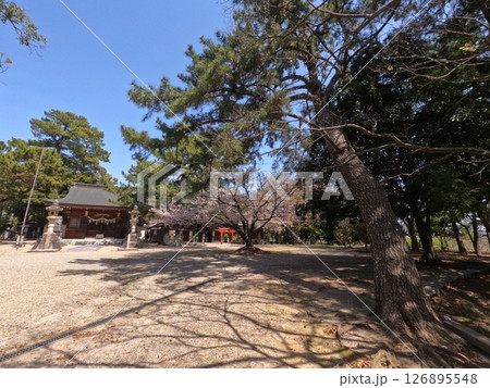 愛知県安城市 榎前八剱神社 愛知県安城市 榎前八剱神社 126895548