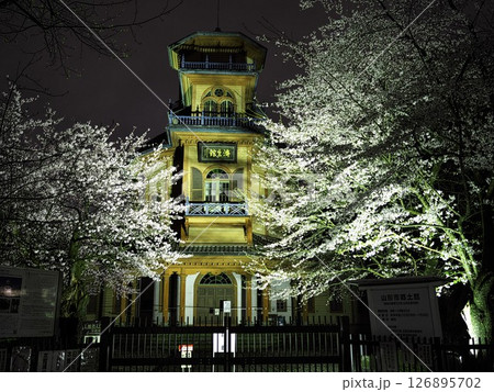 桜満開の山形城跡 ライトアップされた霞城公園の旧済生館本館 桜満開の山形城跡 ライトアップされた霞城公園の旧済生館本館 126895702