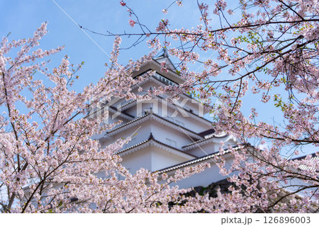 桜に囲まれた城 桜に囲まれた城 126896003