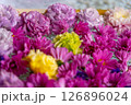 水に浮かぶ花 126896024