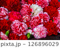 赤いカーネーションの花 126896029