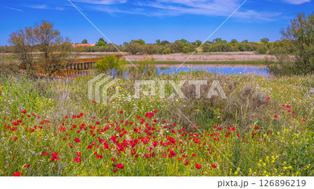 Tablas de Daimiel National Park, Spain Tablas de Daimiel National Park, Spain 126896219