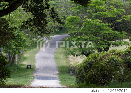 愛知県森林公園の散策道 愛知県森林公園の散策道 126897012