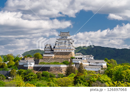《兵庫県》姫路城・初夏の新緑シーズン 126897068