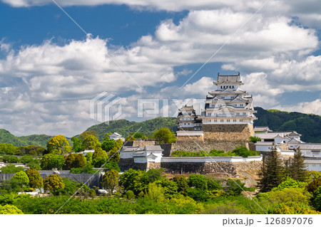 《兵庫県》姫路城・初夏の新緑シーズン 126897076
