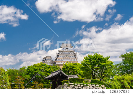《兵庫県》姫路城・初夏の新緑シーズン 《兵庫県》姫路城・初夏の新緑シーズン 126897083