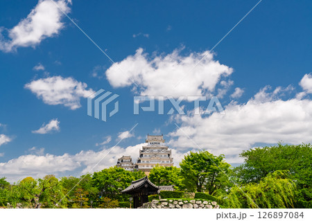 《兵庫県》姫路城・初夏の新緑シーズン 126897084