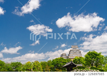 《兵庫県》姫路城・初夏の新緑シーズン 126897085