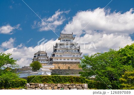 《兵庫県》姫路城・初夏の新緑シーズン 126897089