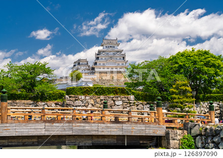 《兵庫県》姫路城・初夏の新緑シーズン 126897090