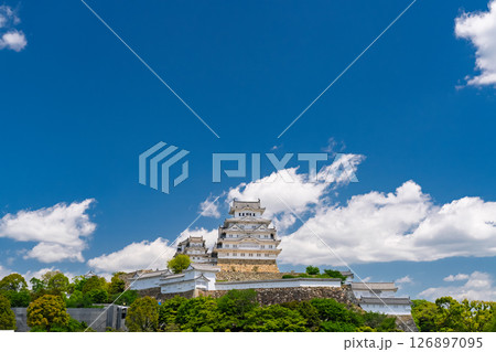 《兵庫県》姫路城・初夏の新緑シーズン 126897095