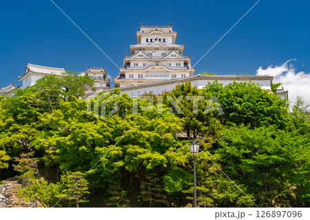 《兵庫県》姫路城・初夏の新緑シーズン 126897096