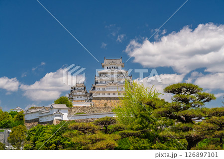 《兵庫県》姫路城・初夏の新緑シーズン 126897101