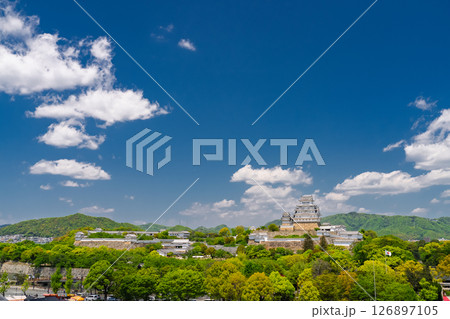 《兵庫県》姫路城・初夏の新緑シーズン 《兵庫県》姫路城・初夏の新緑シーズン 126897105