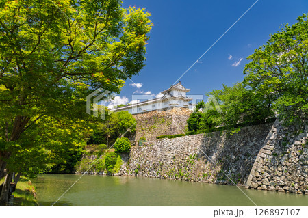 《兵庫県》姫路城・初夏の新緑シーズン 126897107