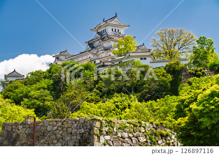 《兵庫県》姫路城・初夏の新緑シーズン 126897116