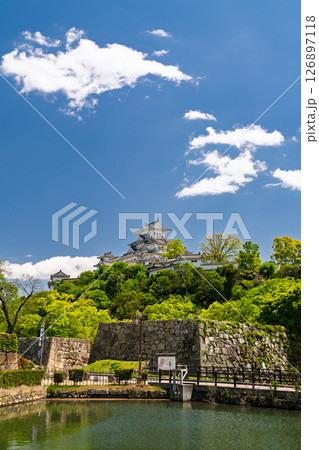 《兵庫県》姫路城・初夏の新緑シーズン 126897118