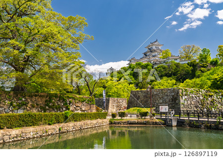 《兵庫県》姫路城・初夏の新緑シーズン 126897119