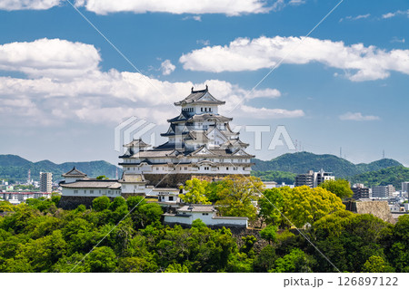《兵庫県》姫路城・初夏の新緑シーズン 126897122