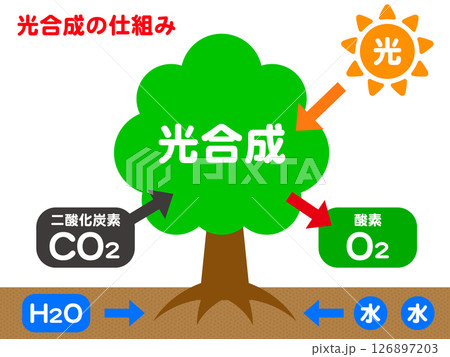 自然と木と光合成の仕組みの図解イラスト素材2 126897203