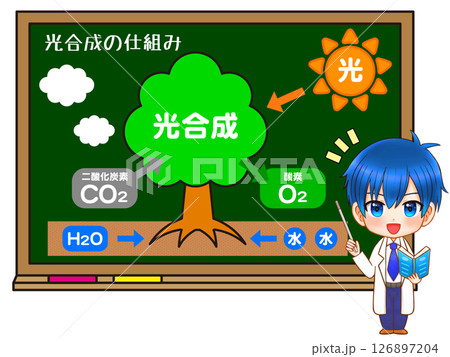 黒板で木と光合成の仕組みを説明する白衣の少年のイラスト素材 126897204