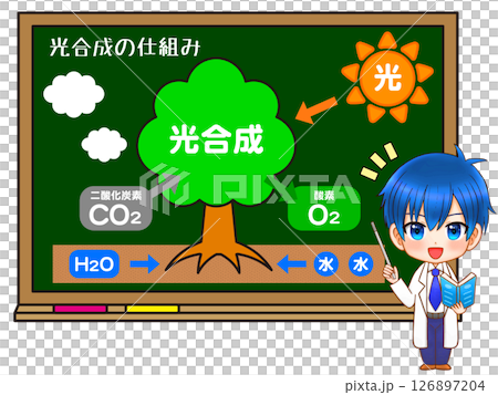 黒板で木と光合成の仕組みを説明する白衣の少年のイラスト素材 126897204