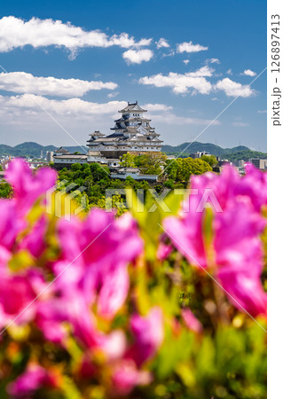 《兵庫県》姫路城とつつじの花 126897413
