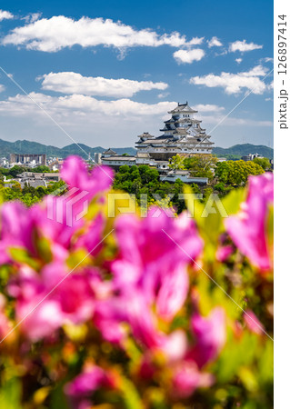 《兵庫県》姫路城とつつじの花 《兵庫県》姫路城とつつじの花 126897414