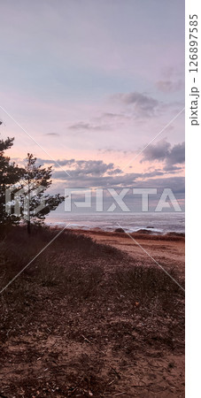 Spring landscape. Panoramic view of beautiful dawn on bay. Cumulus clouds over water in bright light. Ice, snow and rocks on coastline. Rising rays of sun are reflected in sea. Vertical photo. 126897585