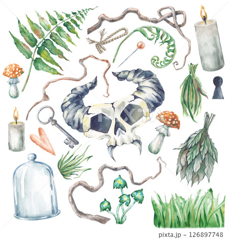 A forest magic set with hand-drawn elements. Watercolor illustration. The template is waiting for Halloween or a fabulous decoration. A forest magic set with hand-drawn elements. Watercolor illustration. The template is waiting for Halloween or a fabulous decoration. 126897748