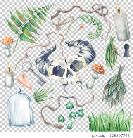 A forest magic set with hand-drawn elements. Watercolor illustration. The template is waiting for Halloween or a fabulous decoration. A forest magic set with hand-drawn elements. Watercolor illustration. The template is waiting for Halloween or a fabulous decoration. 126897748