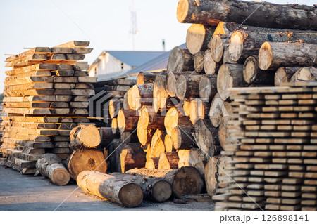 Wood logs piling near russian sawmill, awaiting processing and shipping Wood logs piling near russian sawmill, awaiting processing and shipping 126898141