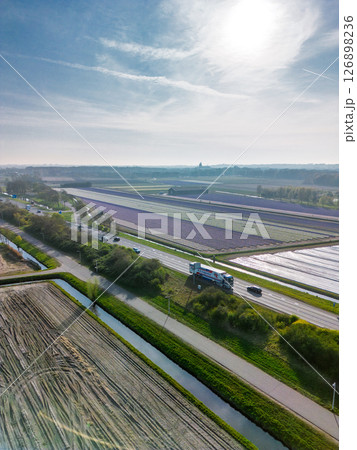 Aerial view of vibrant tulip fields in full bloom, displaying colorful rows of flowers in a rural landscape, with nearby roads, farms, and a distant town under a clear blue sky. Aerial view of vibrant tulip fields in full bloom, displaying colorful rows of flowers in a rural landscape, with nearby roads, farms, and a distant town under a clear blue sky. 126898236