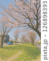 住宅街の晴れた日の桜並木 126898393