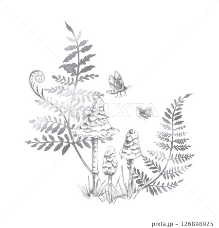 Composition of three mushrooms, fern branches and moths. Isolated pencil illustration on the theme of a magical forest for the design of postcards, coloring books, printing on posters, textiles. Composition of three mushrooms, fern branches and moths. Isolated pencil illustration on the theme of a magical forest for the design of postcards, coloring books, printing on posters, textiles. 126898925