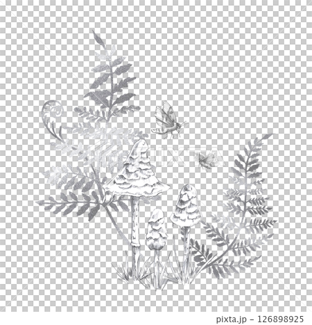 Composition of three mushrooms, fern branches and moths. Isolated pencil illustration on the theme of a magical forest for the design of postcards, coloring books, printing on posters, textiles. Composition of three mushrooms, fern branches and moths. Isolated pencil illustration on the theme of a magical forest for the design of postcards, coloring books, printing on posters, textiles. 126898925